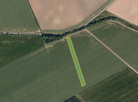 Prodej pozemku, zemědělská půda, 5 998 m²