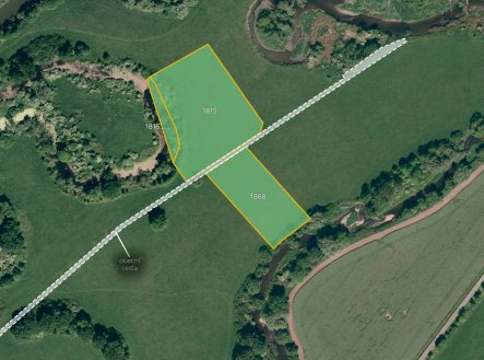 Prodej pozemku, trvalý travní porost, 7 303 m²