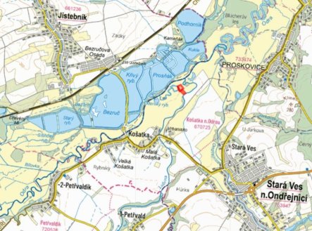Prodej pozemku, trvalý travní porost, 7 303 m²