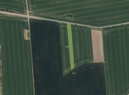 Prodej pozemku, zemědělská půda, 4 431 m²