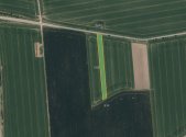 Prodej pozemku, zemědělská půda, 4 431 m²