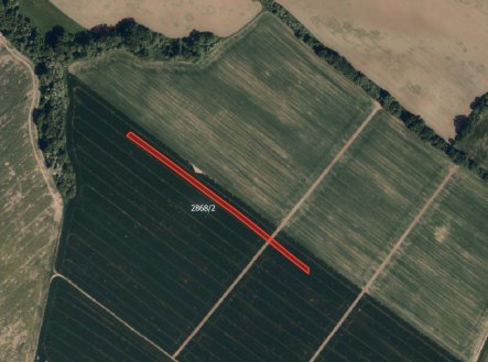 Prodej pozemku, zemědělská půda, 6 808 m²