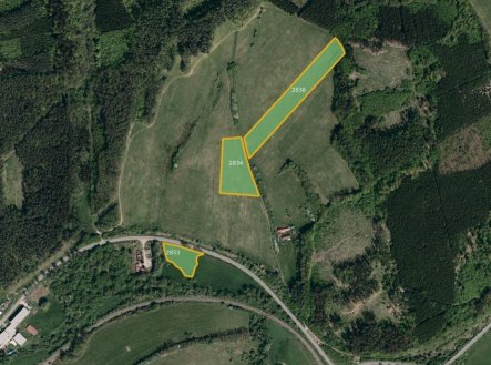 Prodej pozemku, trvalý travní porost, 28 829 m²