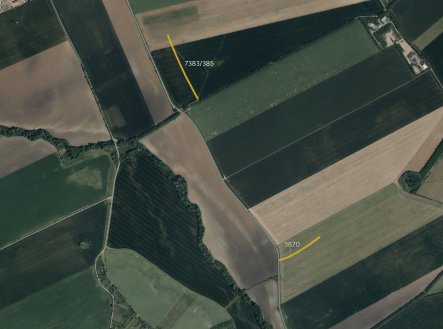 Prodej pozemku, trvalý travní porost, 19 902 m²