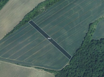 Prodej pozemku, zemědělská půda, 5 978 m²