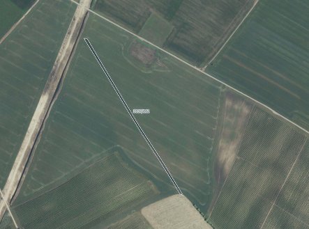 Prodej pozemku, zemědělská půda, 5 978 m²