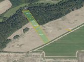 Prodej pozemku, les, 19 741 m²