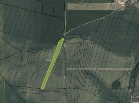 Prodej pozemku, zemědělská půda, 6 007 m²