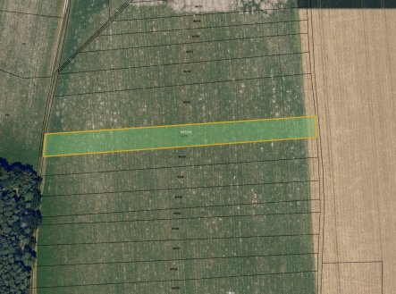 Prodej pozemku, zemědělská půda, 4 002 m²