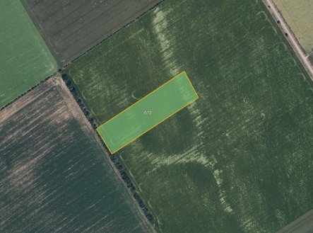 Prodej pozemku, zemědělská půda, 5 429 m²