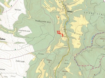 Prodej pozemku, trvalý travní porost, 13 383 m²