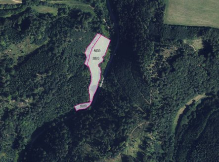Prodej pozemku, trvalý travní porost, 23 694 m²
