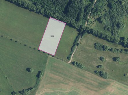 Prodej pozemku, trvalý travní porost, 10 323 m²