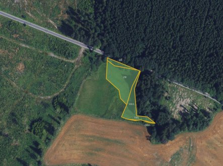 Prodej pozemku, trvalý travní porost, 6 783 m²