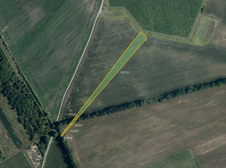 Prodej pozemku, zemědělská půda, 6 188 m²