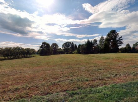 Prodej pozemku, zemědělská půda, 8 756 m²