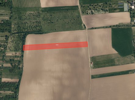 Prodej pozemku, zemědělská půda, 8 059 m²