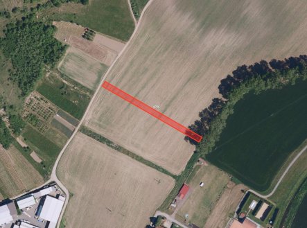 Prodej pozemku, zemědělská půda, 10 259 m²