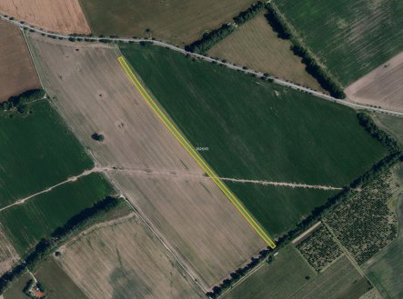 Prodej pozemku, zemědělská půda, 8 312 m²