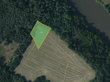 Prodej pozemku, zemědělská půda, 6 646 m²