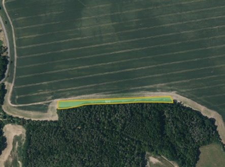 Prodej pozemku, zemědělská půda, 6 646 m²