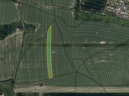 Prodej pozemku, zemědělská půda, 4 330 m²