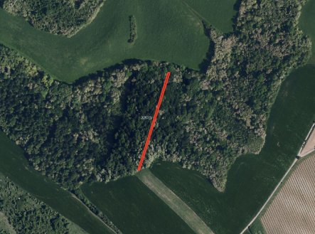 Prodej pozemku, zemědělská půda, 6 238 m²