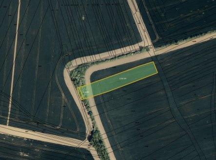 Prodej pozemku, zemědělská půda, 4 230 m²