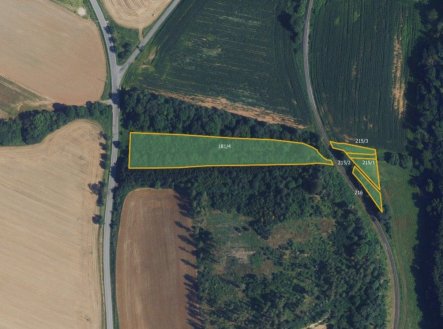 Prodej pozemku, les, 9 935 m²