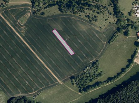 Prodej pozemku, zemědělská půda, 3 383 m²