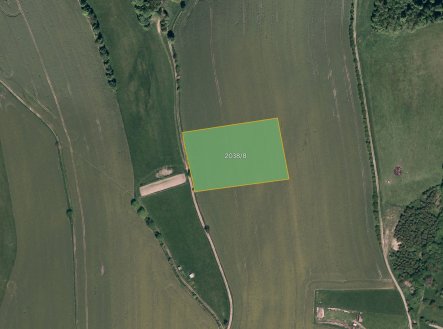 Prodej pozemku, trvalý travní porost, 11 874 m²