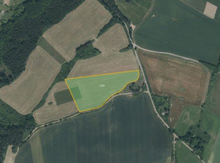 Prodej pozemku, trvalý travní porost, 21 867 m²