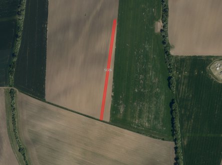 Prodej pozemku, zemědělská půda, 4 541 m²