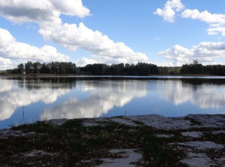 Prodej pozemku, zemědělská půda, 5 569 m²
