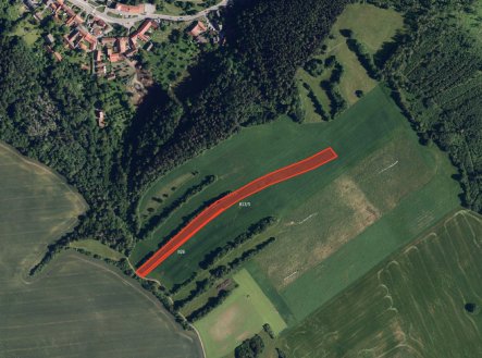 Prodej pozemku, zemědělská půda, 12 959 m²
