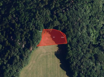 Prodej pozemku, zemědělská půda, 12 959 m²