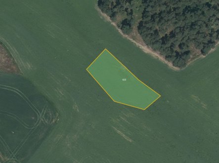 Prodej pozemku, zemědělská půda, 22 168 m²