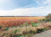 Prodej pozemku, zemědělská půda, 69 111 m²