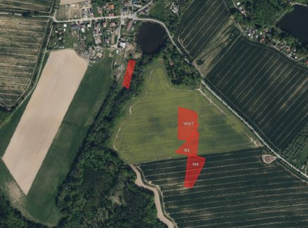 Prodej pozemku, zemědělská půda, 4 801 m²