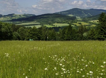 Prodej pozemku, trvalý travní porost, 4 986 m²