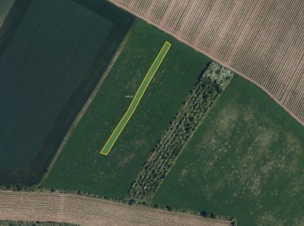 Prodej pozemku, zemědělská půda, 6 586 m²