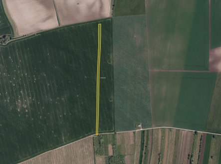 Prodej pozemku, zemědělská půda, 6 586 m²