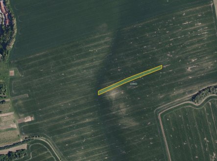 Prodej pozemku, zemědělská půda, 6 586 m²