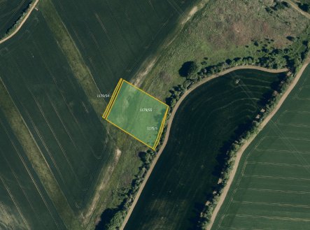 Prodej pozemku, zemědělská půda, 7 967 m²