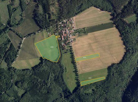 Prodej pozemku, trvalý travní porost, 10 721 m²