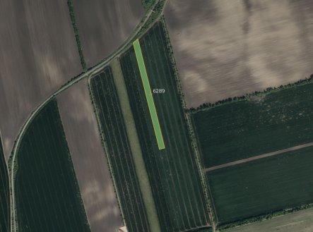 Prodej pozemku, zemědělská půda, 10 196 m²