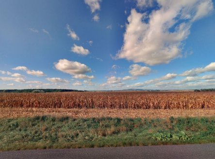 Prodej pozemku, zemědělská půda, 5 446 m²