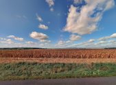 Prodej pozemku, zemědělská půda, 5 446 m²