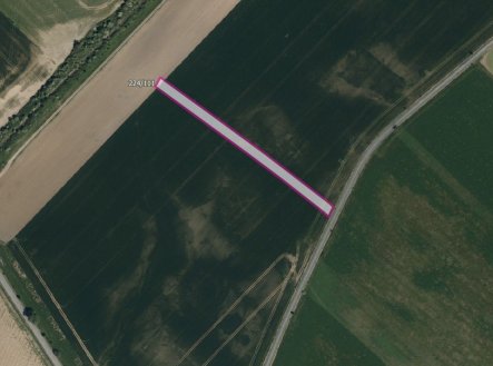Prodej pozemku, zemědělská půda, 5 446 m²