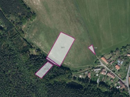Prodej pozemku, trvalý travní porost, 19 893 m²